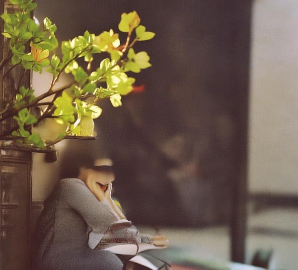 油条广告微信营销策划方案